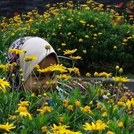 Syikin Yusof Syikin Yusof